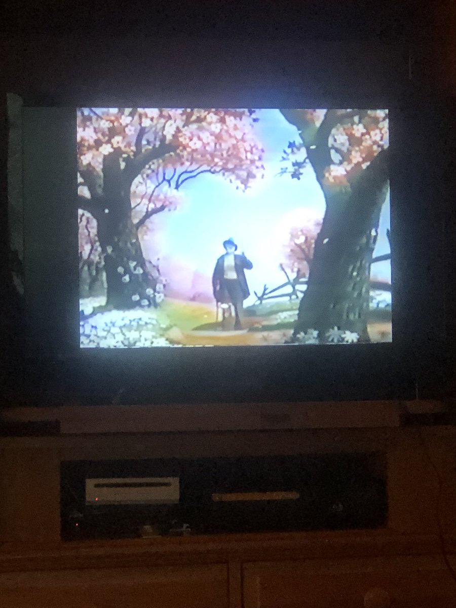 andrewmikels's tweet image. True cinema for movie night.