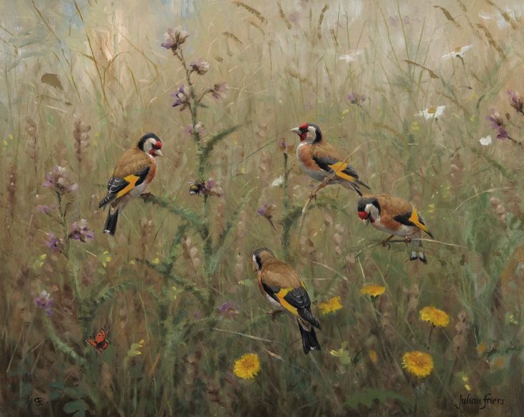 4e4wv's tweet image. Me and gang eating thistle seeds ❤️ we all fw this ❤️