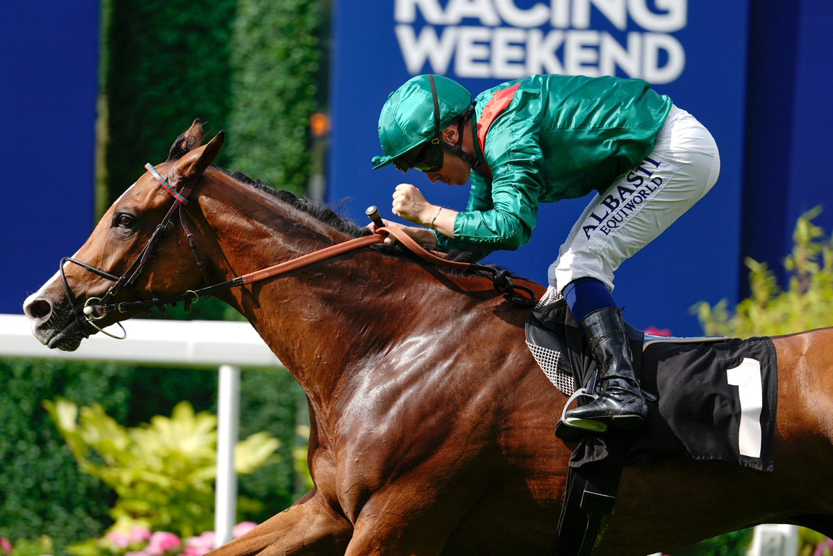 Racing_Previews's tweet image. Calandagan again.

Très bien 🇫🇷