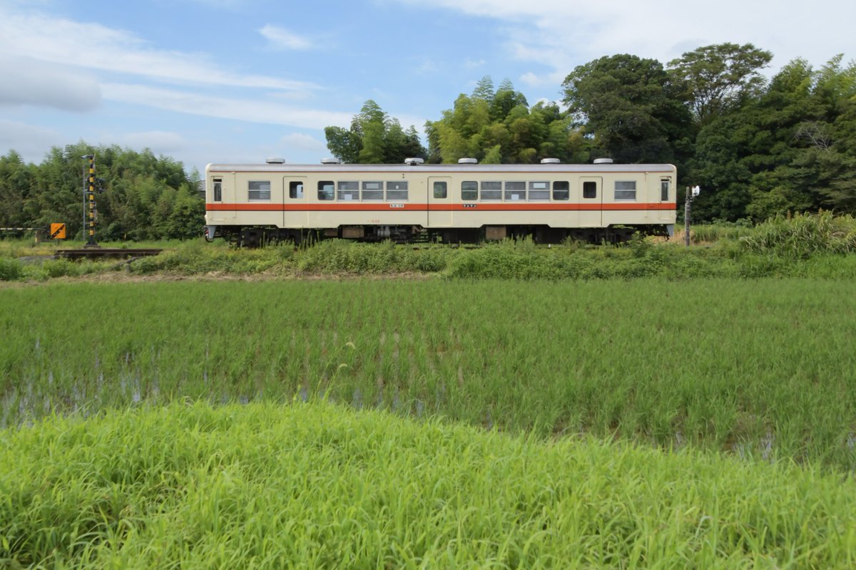 HEROSHIMO's tweet image. 19レ
7/27 #関東鉄道 #竜ヶ崎線 #キハ532
なんというか...
長閑な写真を撮りたいなら、532 ! って感じ。