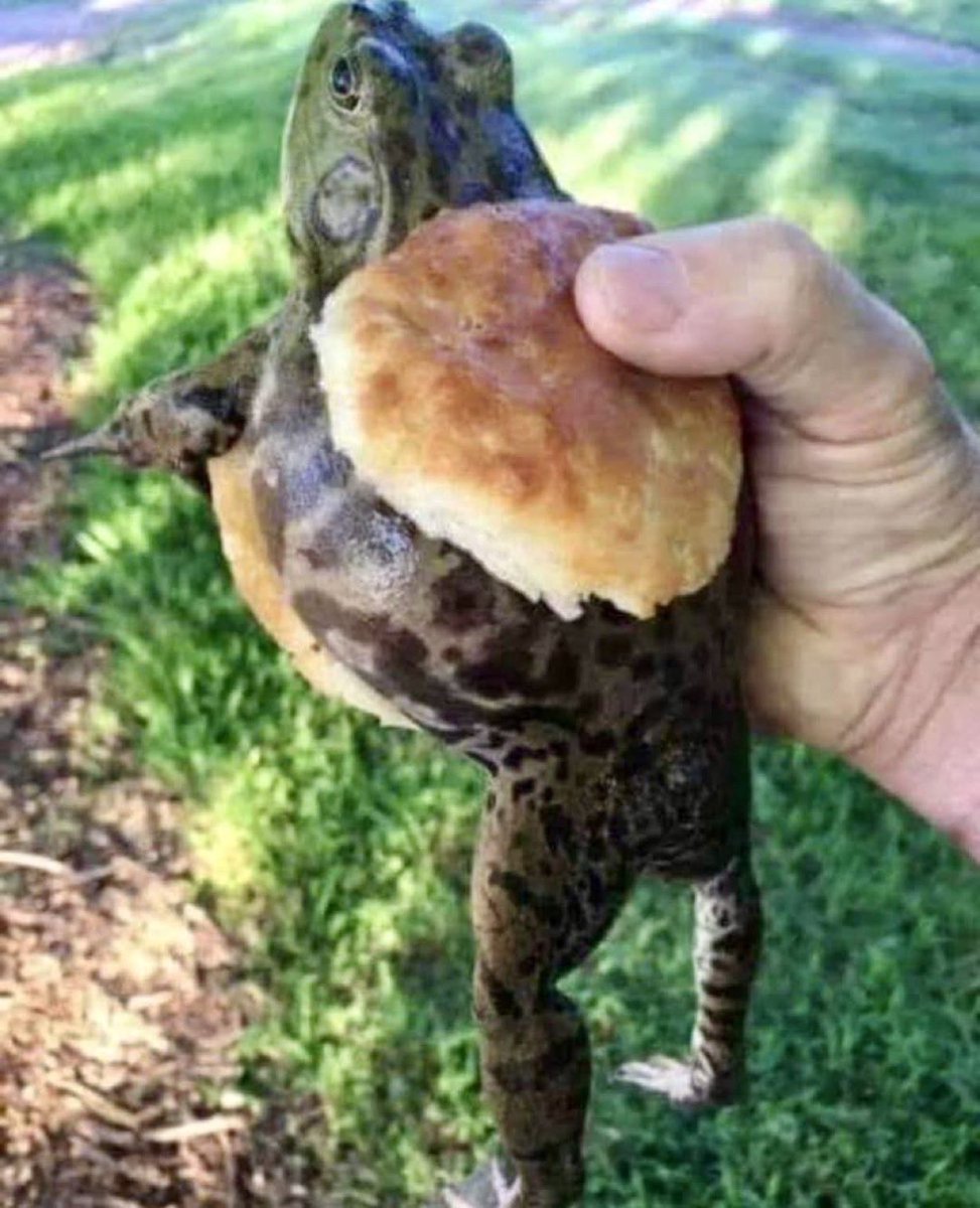 CamInksaton's tweet image. The Hardee’s breakfast menu is getting creative
