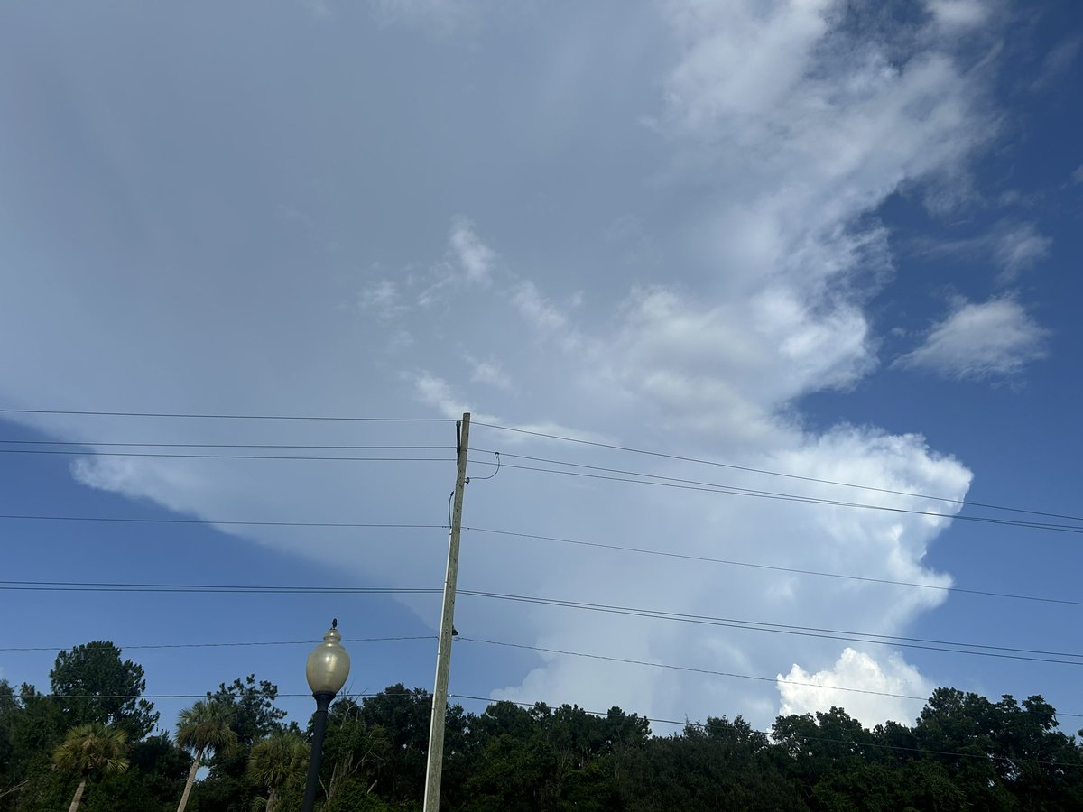 wx_anthony's tweet image. Some picturesque #FL storms this afternoon. Beautiful billowing clouds!
#flwx #weather #florida