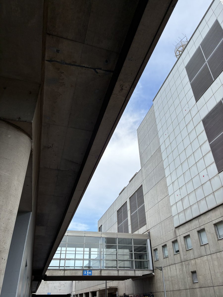 koking_ibuking's tweet image. 外に移動し待機中…
これは一年前と同じ入りですかね…🌀