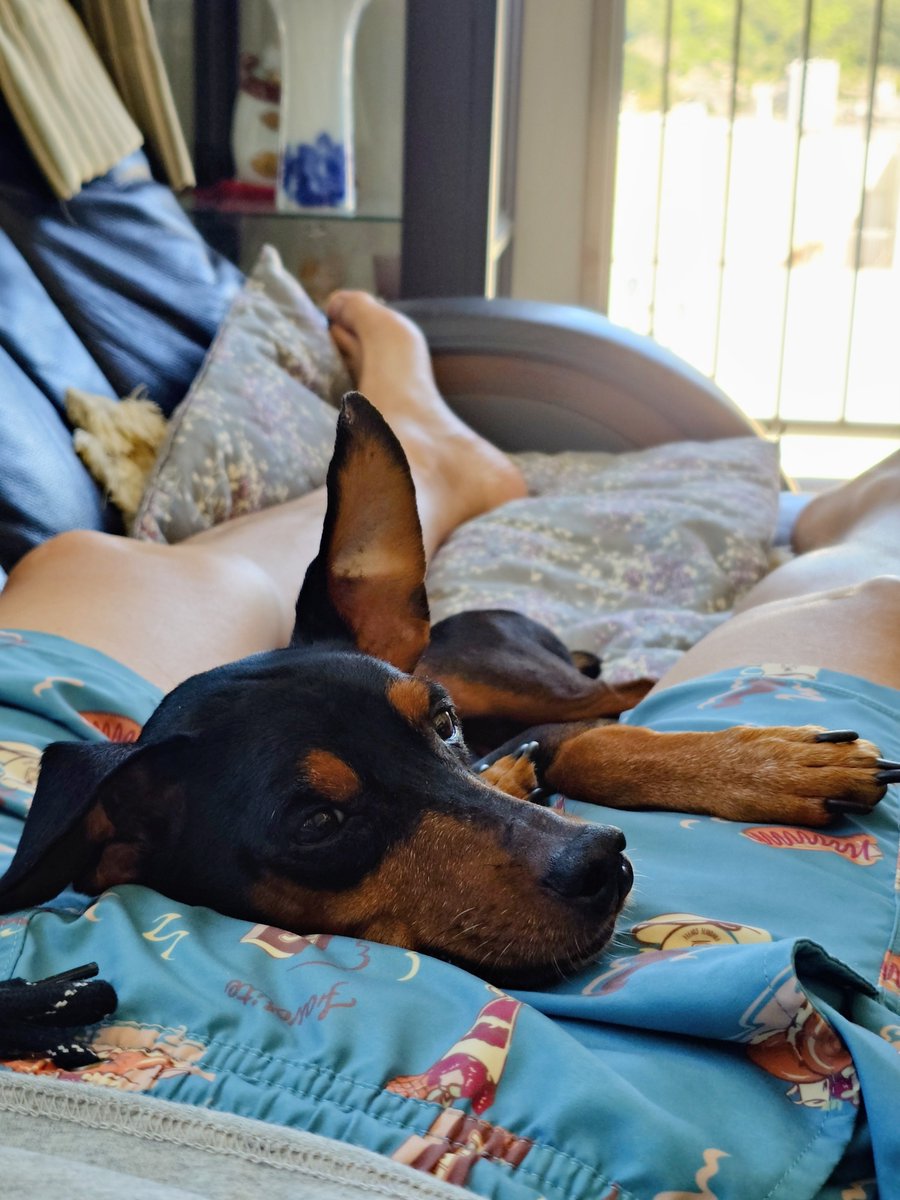 風が気持ちいい🎐