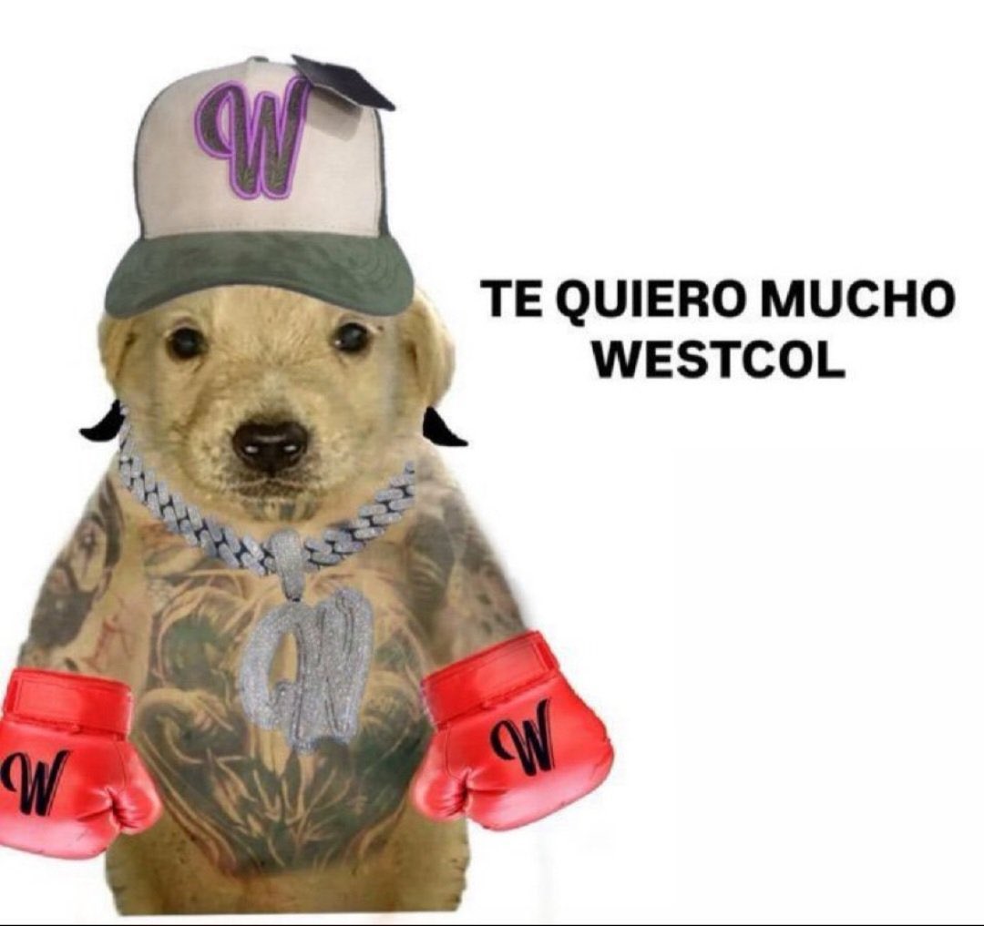 beldazbar's tweet image. me importa una mierda, te amo west