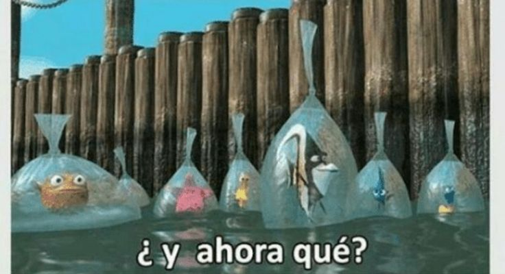 AsiGarSan2's tweet image. se ha acabao la charquelada del año