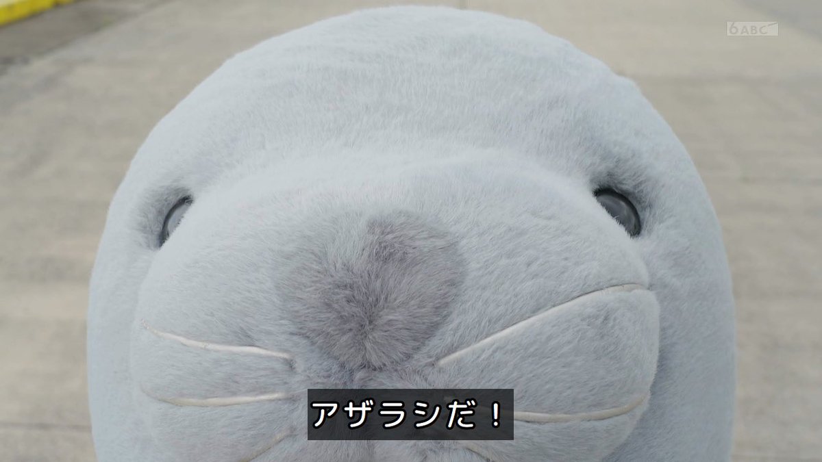 d5_k10's tweet image. イジられてるな〜wwww
出演者からもスタッフからもwww
 #ゴジュウジャー
#nitiasa
