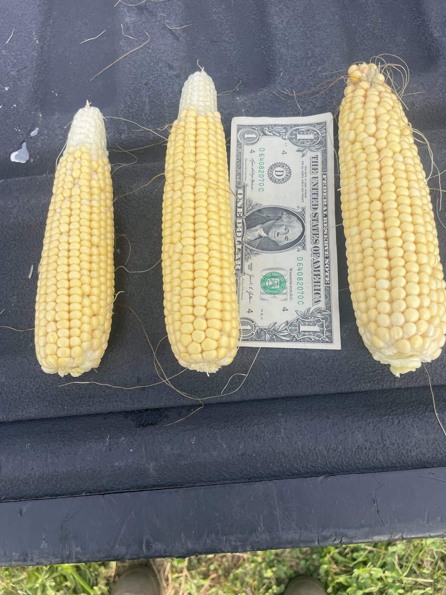 Bill Graff tweet media