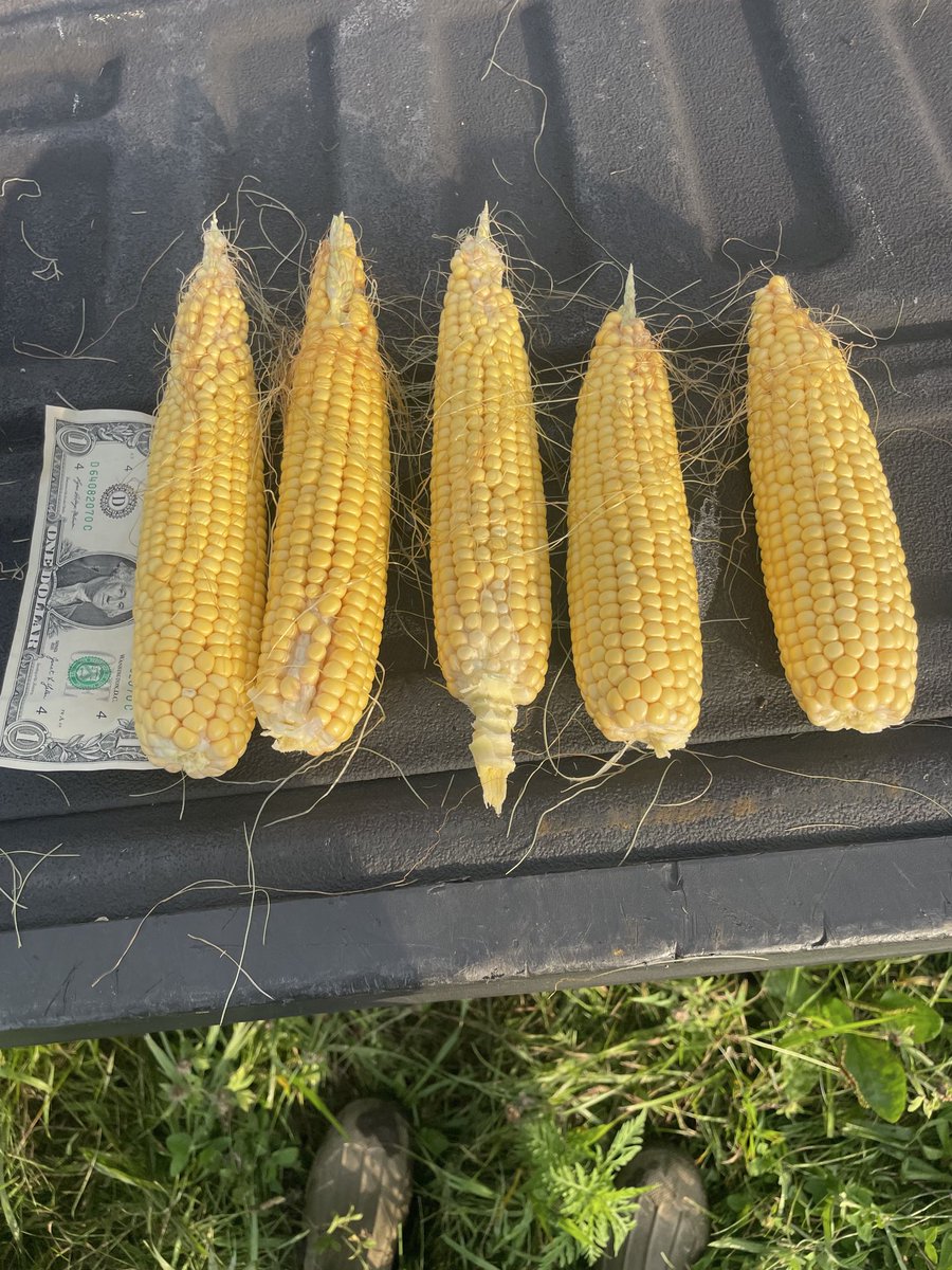 Bill Graff tweet media