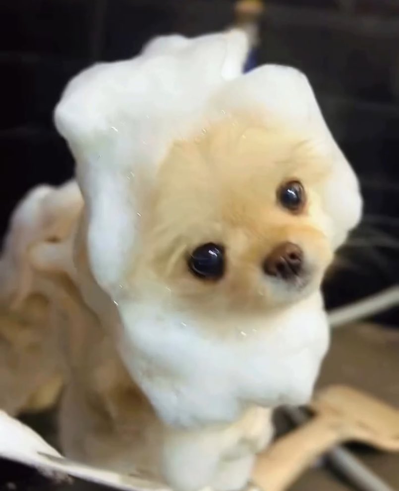 otkd_'s tweet image. 皆ーおはよー