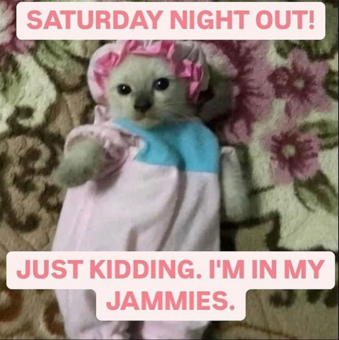 aintn0's tweet image. 