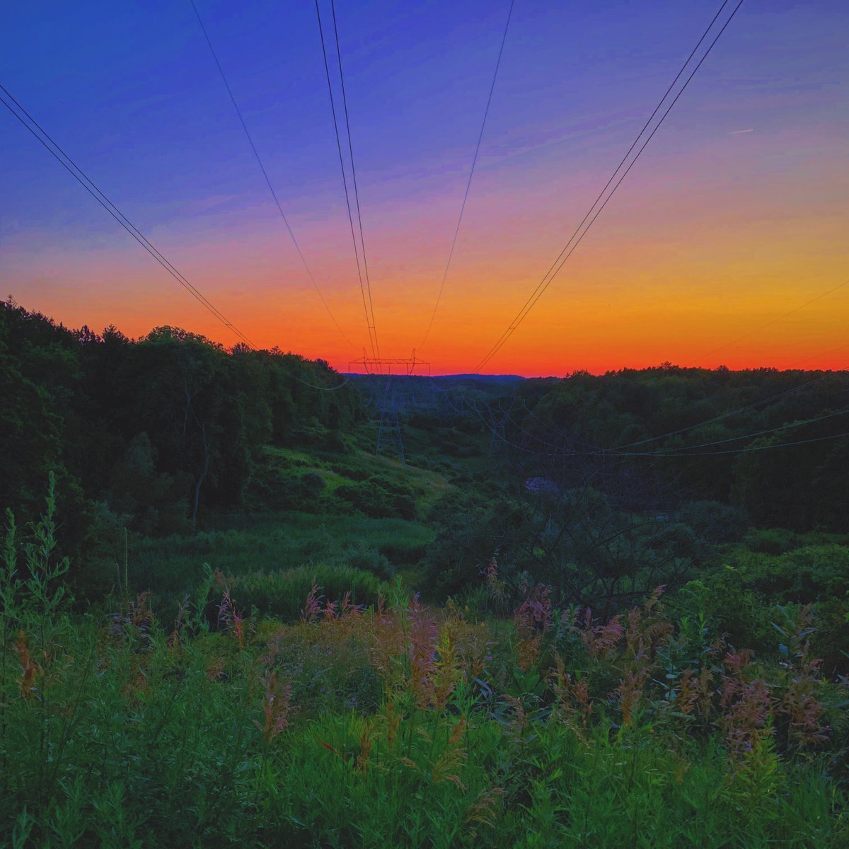 slabdaddyWx's tweet image. overcooked slop ft. powerlines.