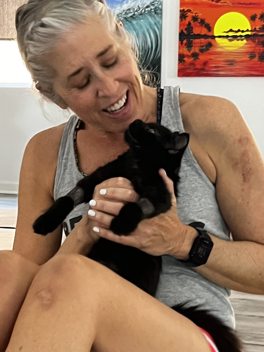 KipAuthor's tweet image. Kitten yoga earlier today 😻😮😊