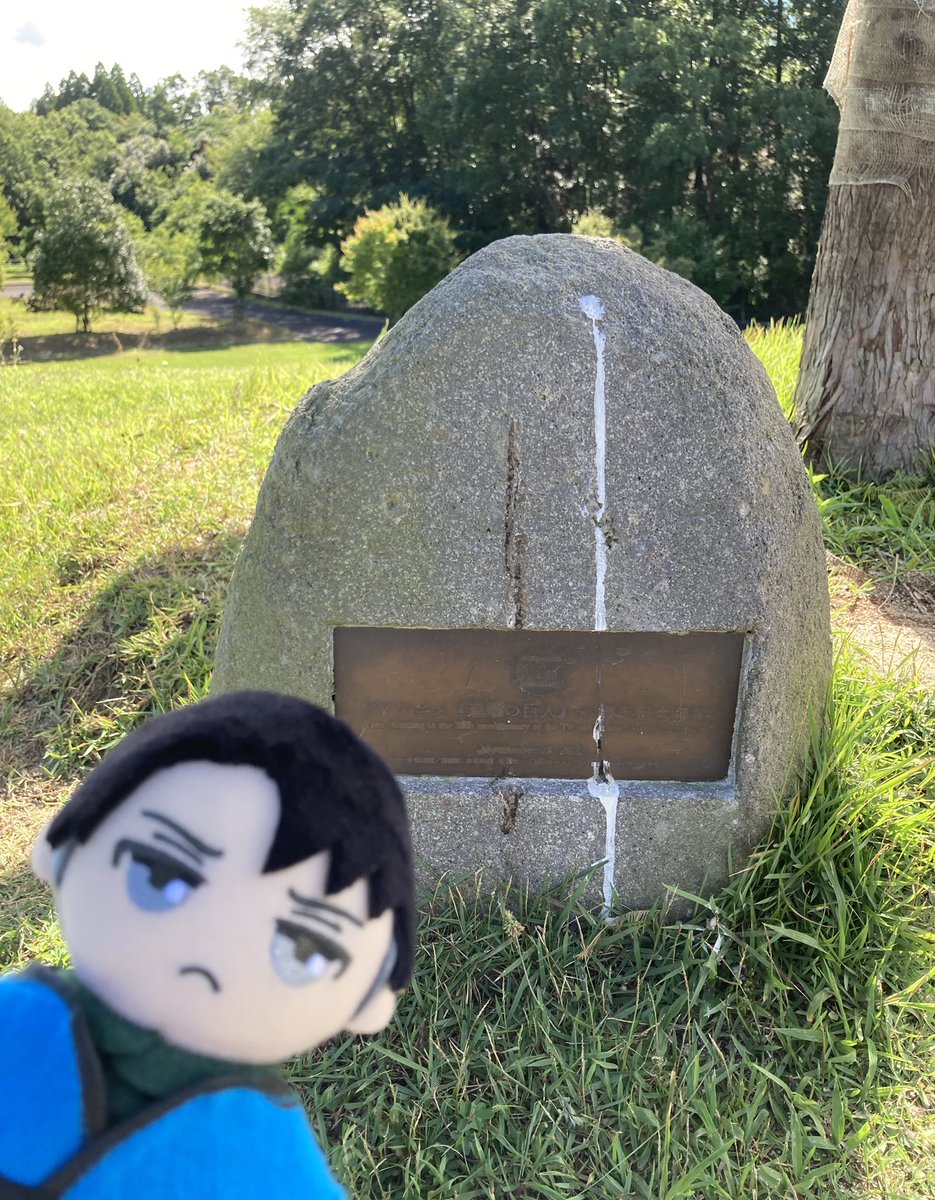 gucchi_singeki's tweet image. あの丘の木

鳥のアレらしきものを

駆逐しました✨🧹
