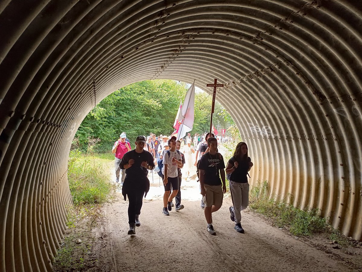 ⏯️ ¡Atrévete a ser audaz!. By D. Óscar Garza (AUDACIA)
youtu.be/jHpxjI33zQY