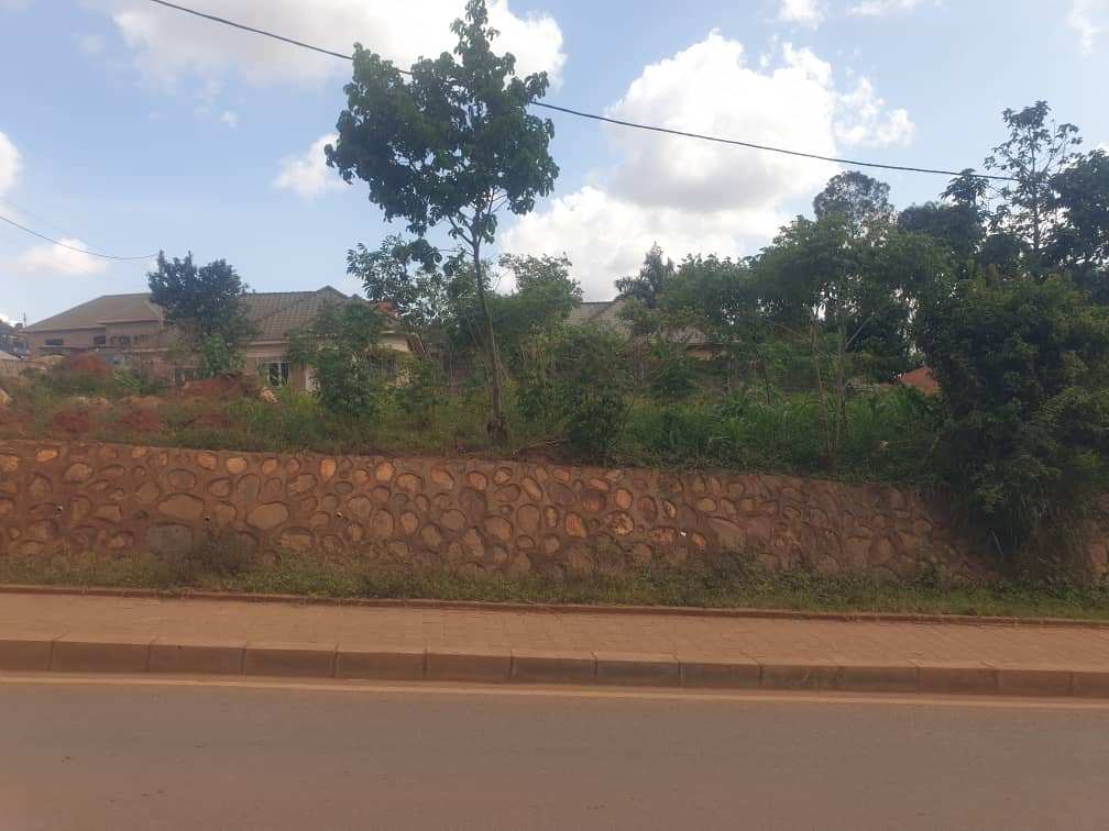 KMT_properties's tweet image. Land in Kulambilo
Along road connecting to Nagera
15 decimals usable land
260M,, Whatsapp or call 0786396665