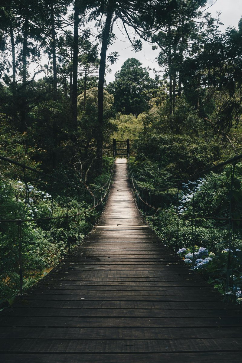 Azen_Vibes's tweet image. 