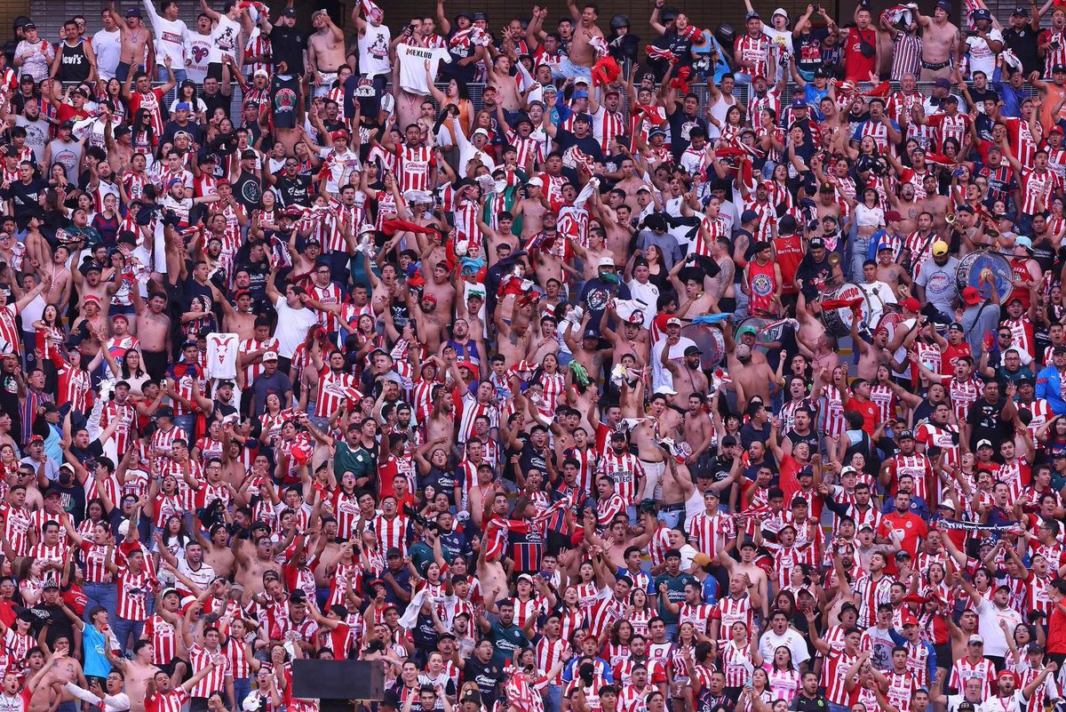 soyel_isra's tweet image. Chela al que me ubique… que alegría ser de @Chivas
Vamos las chivas LPM!!
