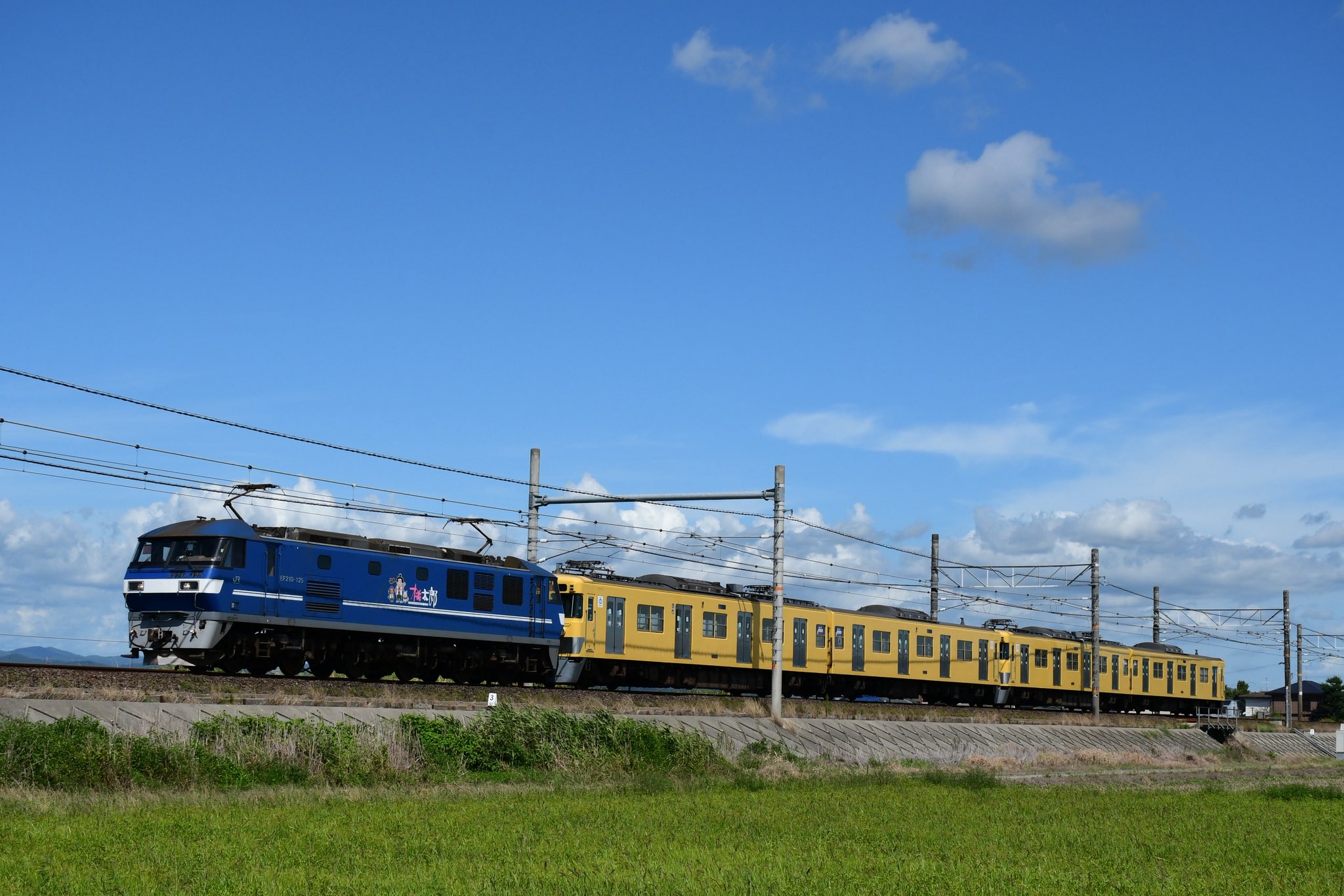 JR　国鉄　行先板　宮島観光号 JR 国鉄 行先板 宮島観光号 JR 国鉄 行先板 宮島観光号 backend