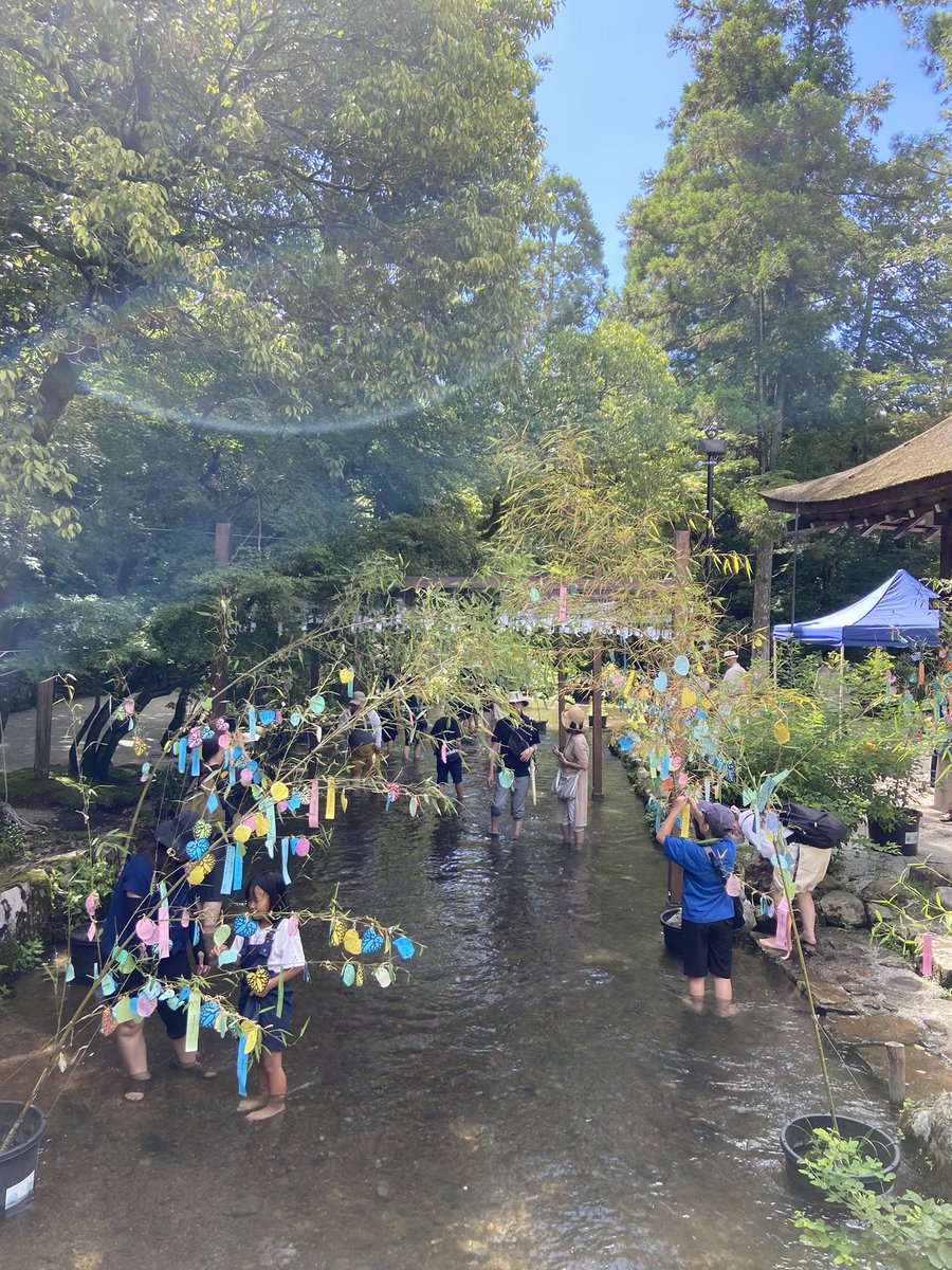 pilgrimoon's tweet image. 上賀茂神社の摂社である新宮神社の祭神は高龗神。龗(オカミ)は龍神に供物を捧げて雨を祈る意。きょうがその水まつり。高龗神は貴船神社や室生龍穴神社の祭神でもあり、ミズハノメと並んで典型的な水神。イザナギがカグツチを切り捨てた時の血が凝って生まれた神。ただ暑いのだ。半日いたら限界。
