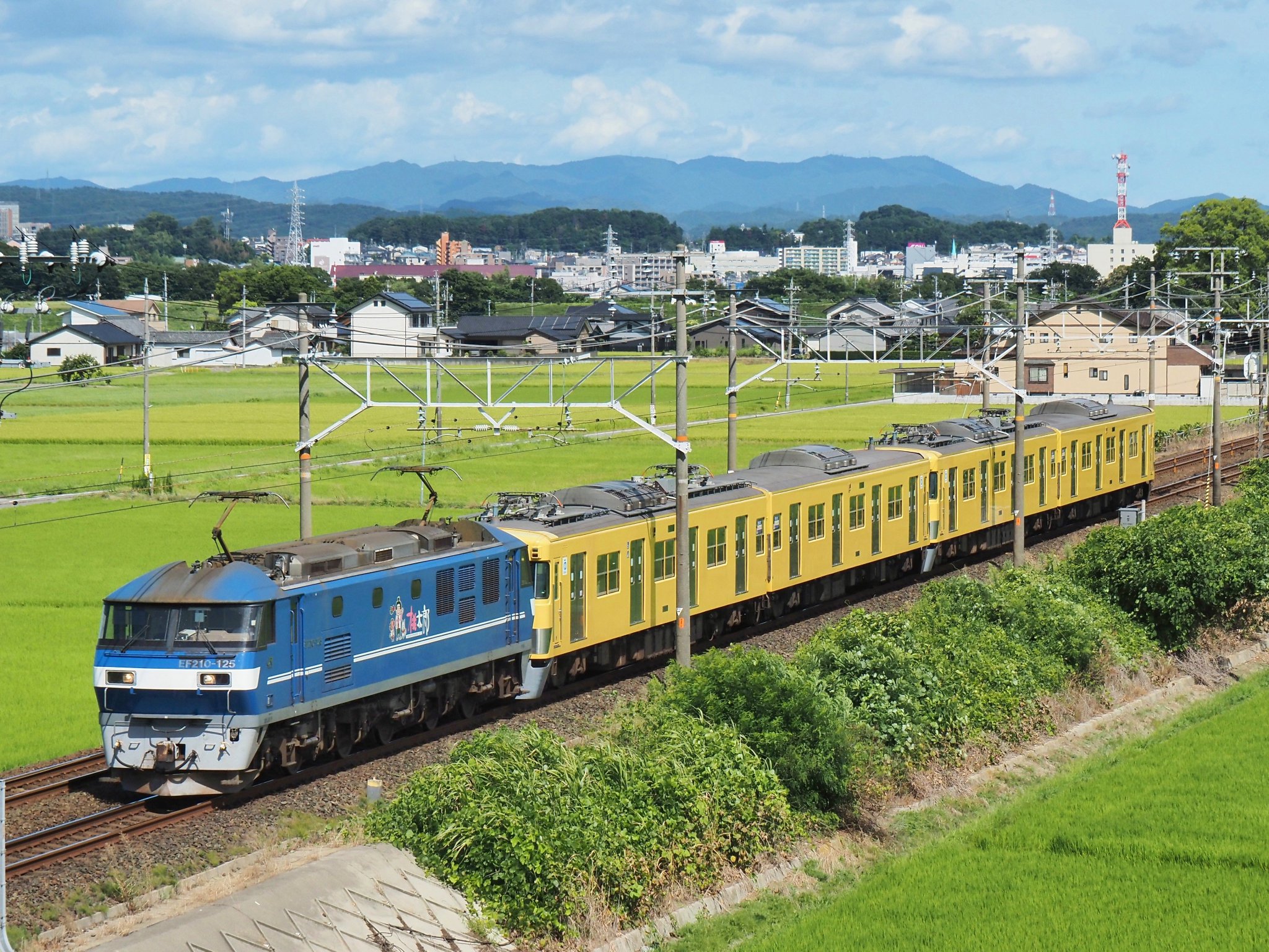 【鉄道部品】西武鉄道 2000系 メーターカウル 4K]西武鉄道2000系電車2417/2419編成近江鉄道向け甲種輸送