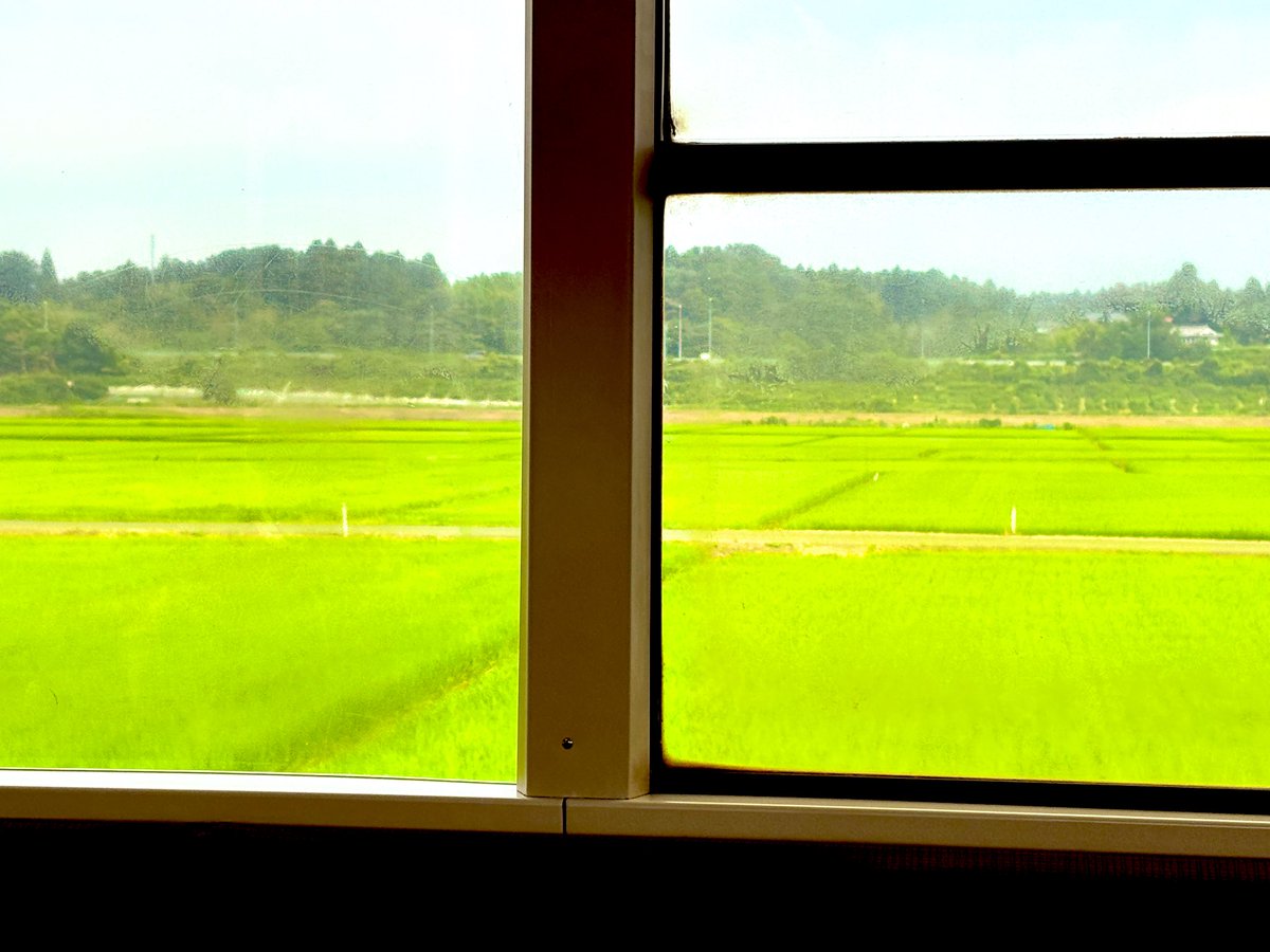 Rindow1854's tweet image. 今日は早起きして利府の田圃道を散歩しました
帰りの電車で写真撮れてないことに気づいたのでもう一度来ます