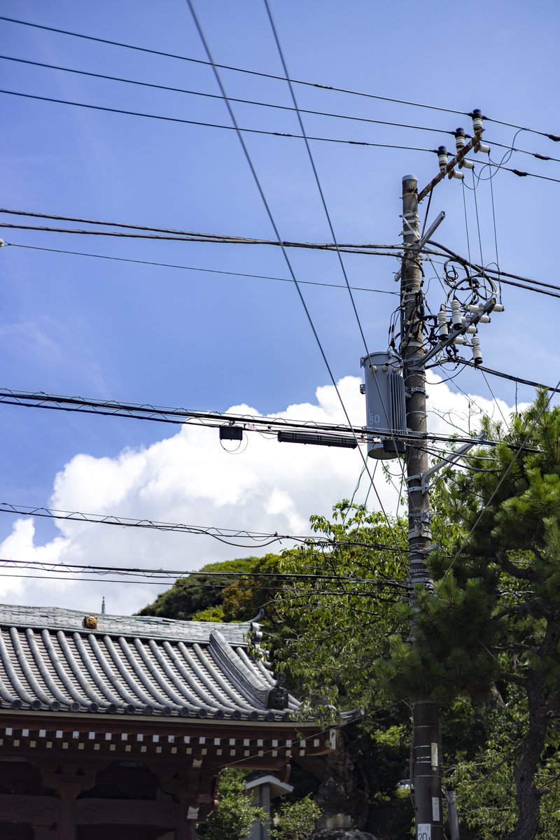 Tikuwa_Camera's tweet image. 