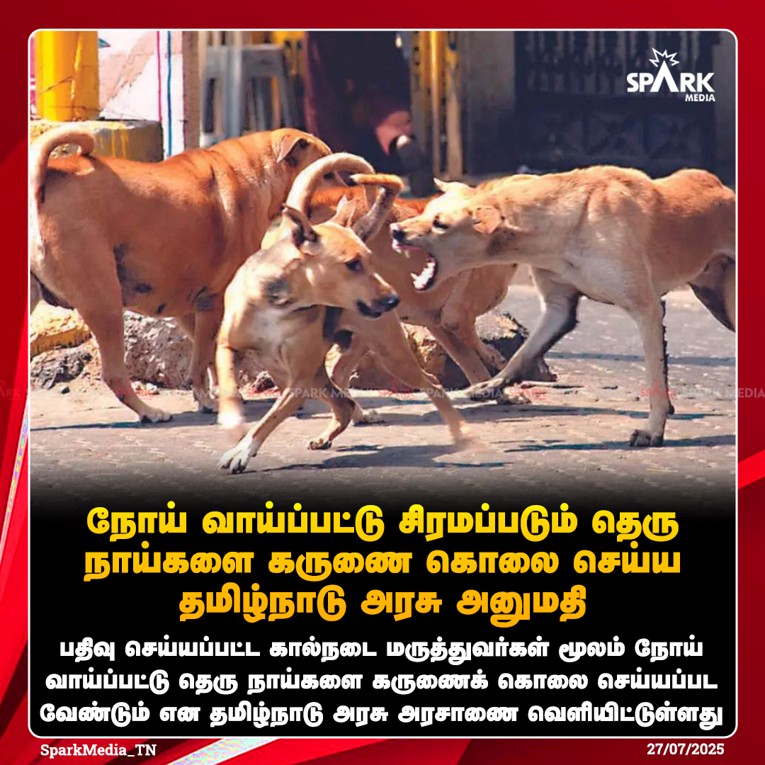 SparkMedia_TN's tweet image. நோய் வாய்ப்பட்டு சிரமப்படும் தெரு நாய்களை கருணை கொலை செய்ய தமிழ்நாடு அரசு அனுமதி

#StrayDogAttack #StrayDogs #TNGovt #SparkMedia
