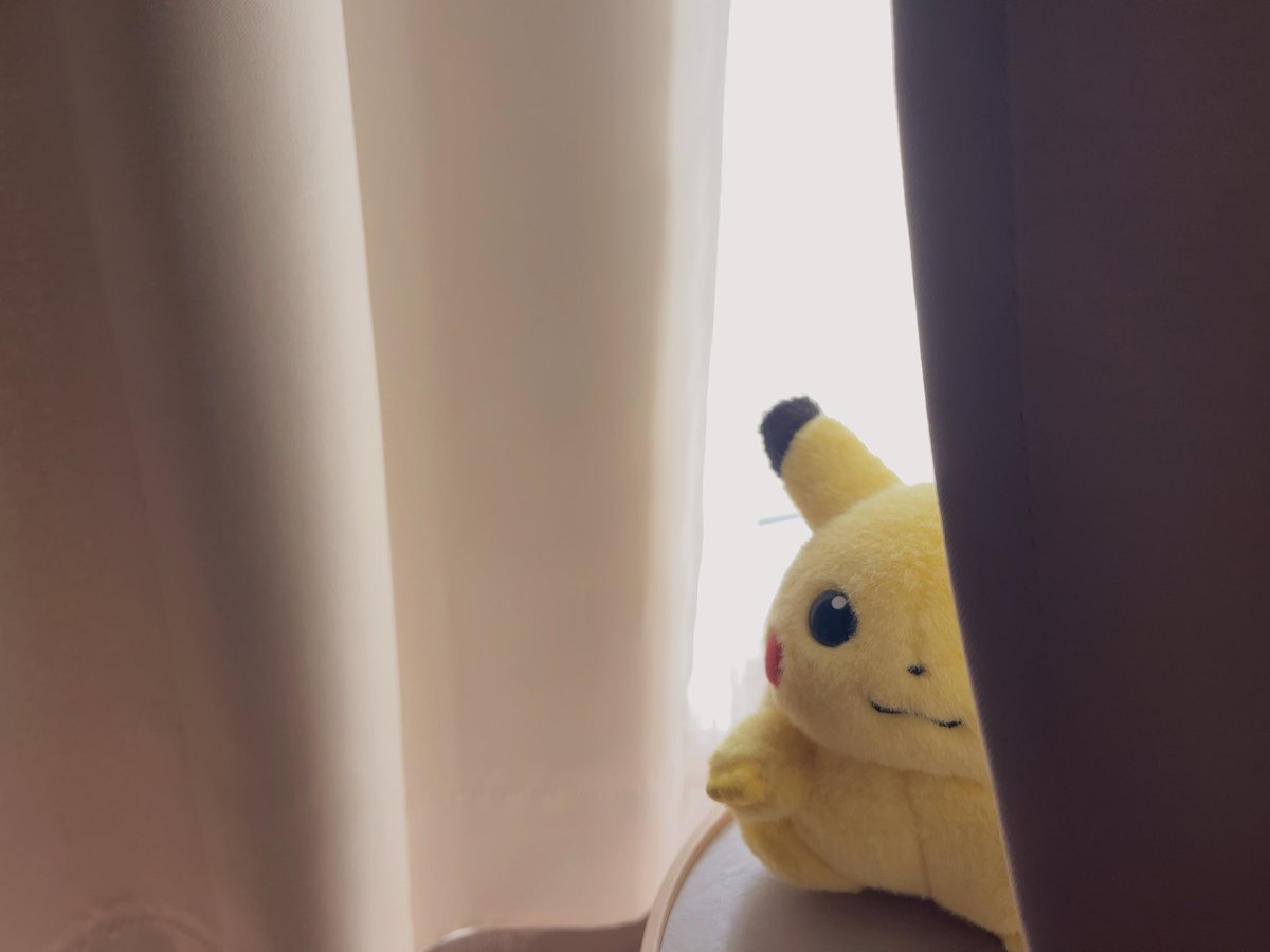 piopio_PIKA's tweet image. いないと無理なの😠