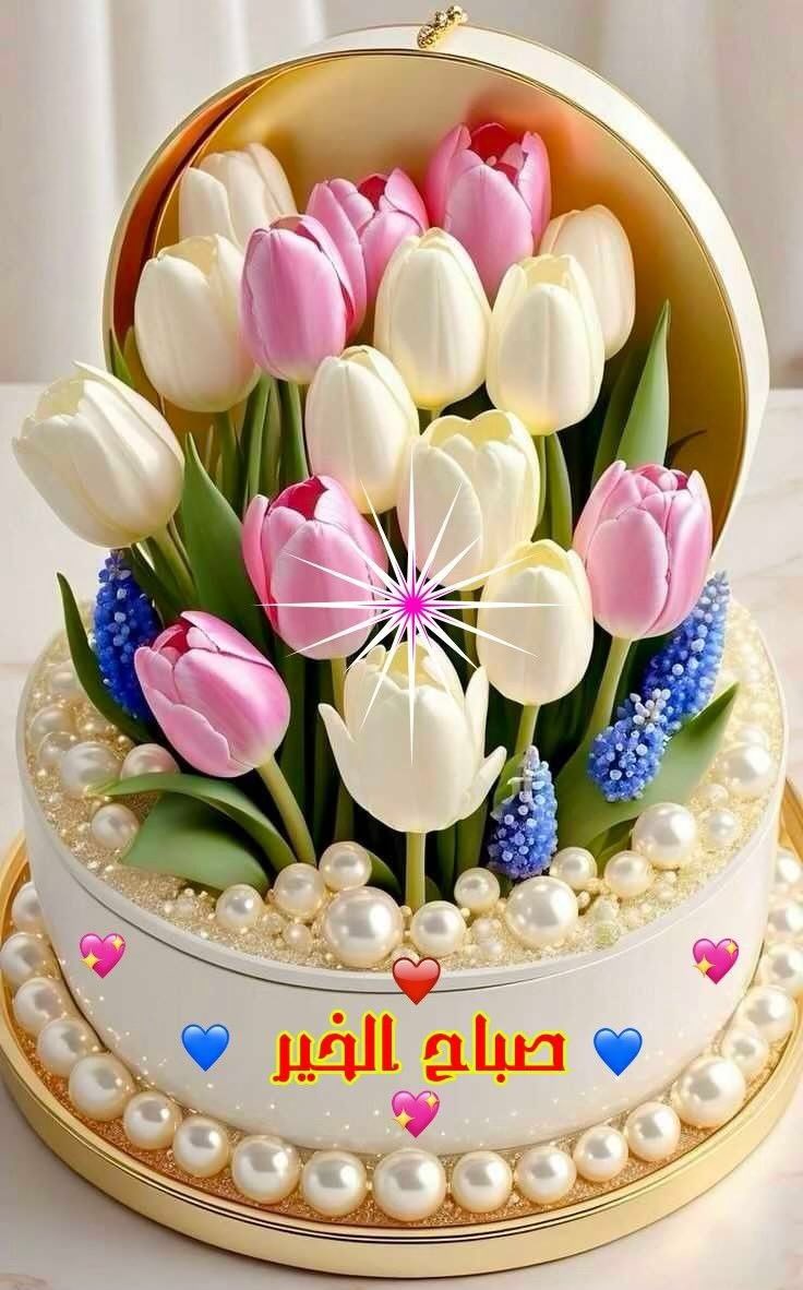 ا̍ڷڔٰا̍ڜد ּ 𝒜ℒℛ𝒜𝒮ℋ𝒟 tweet media