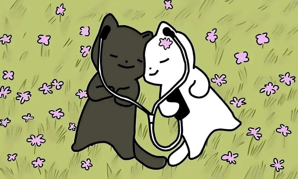 dfkspx's tweet image. accmp’s ㅡ🍓
