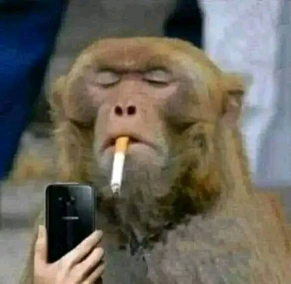 OrechHaron's tweet image. When she says, you will regret losing me! 😊😎

Me: