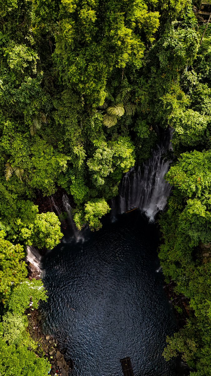 Gm to those who love nature