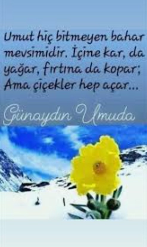 filiz_uyaniker's tweet image. 🌞🐞🌞🐞🌞🐞🌞🐞🌞🐞🌞🐞🌞