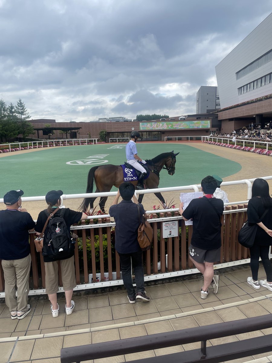 second_kuttsn's tweet photo. 数年振りの馬 https://t.co/MDDueYRKqf
