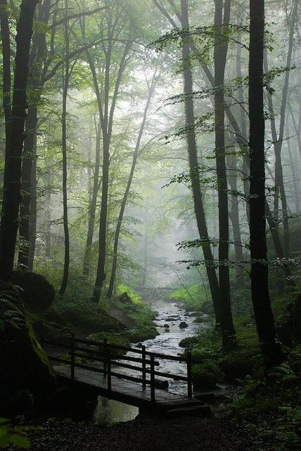 Anywhere Door (@anywhereedoor) on Twitter photo 