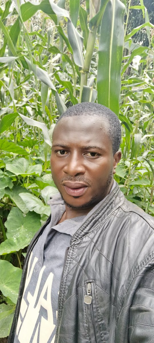 "Change starts with us! Instead of turning a blind eye to the world's issues, let's be the ones who take action and inspire others to do the same. #BeTheChange #Activism"