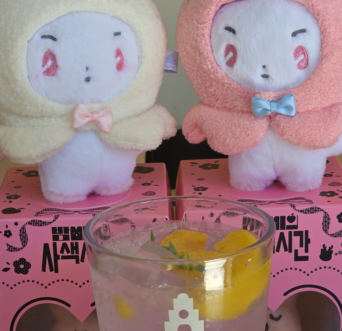 _BAMGLE's tweet image. 앙냥냥