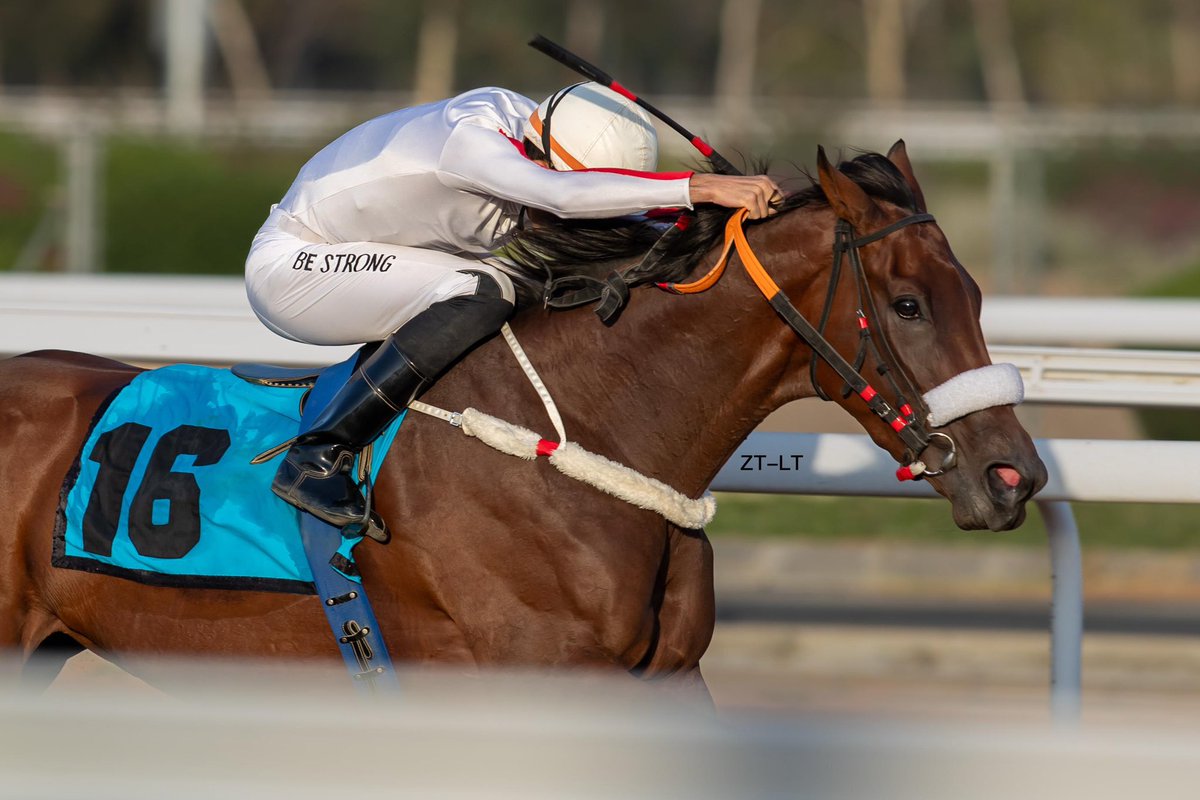 اللهم لك الحمد افتتاحيه الموسم ❤️🥇 
الفرس :تزاهبها❤️🥇
المدرب :بدر الرزيق❤️🥇
<a href="/FrusiyaClub/">نادي سباقات الخيل</a>
