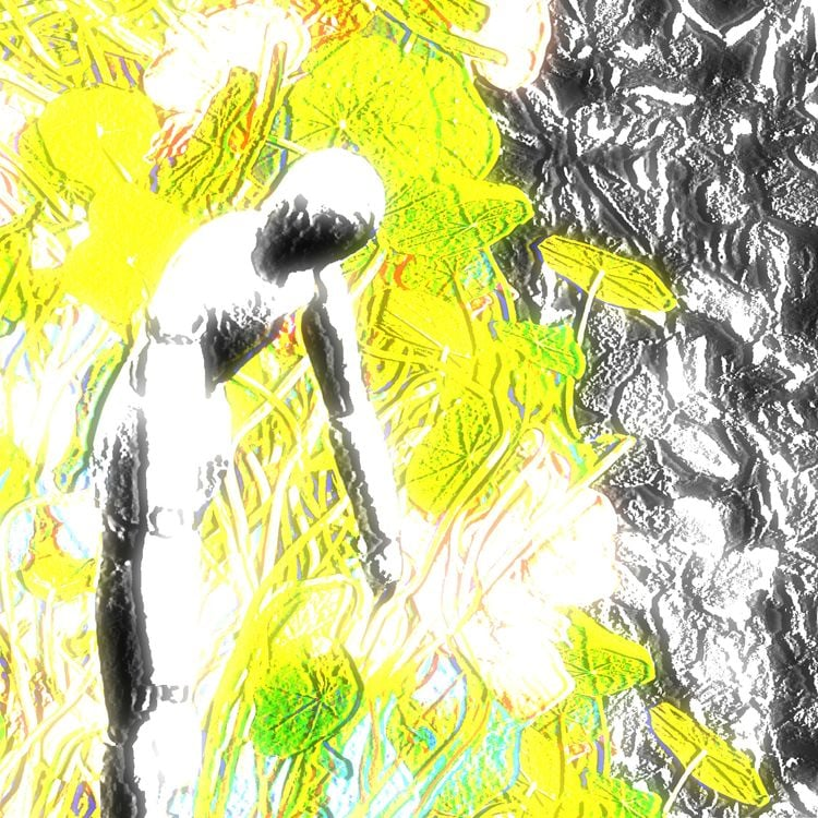 allegedjayworm's tweet image. if you want a fun, dancey, vibey album with enough twists and turns to keep you engaged through the whole ride, i really recommend you listen to &quot;Walk-In Closet&quot; by Oceanic-air aka @mydjsavedurbtch 

read my full review: albumoftheyear.org/user/jayworm/a…