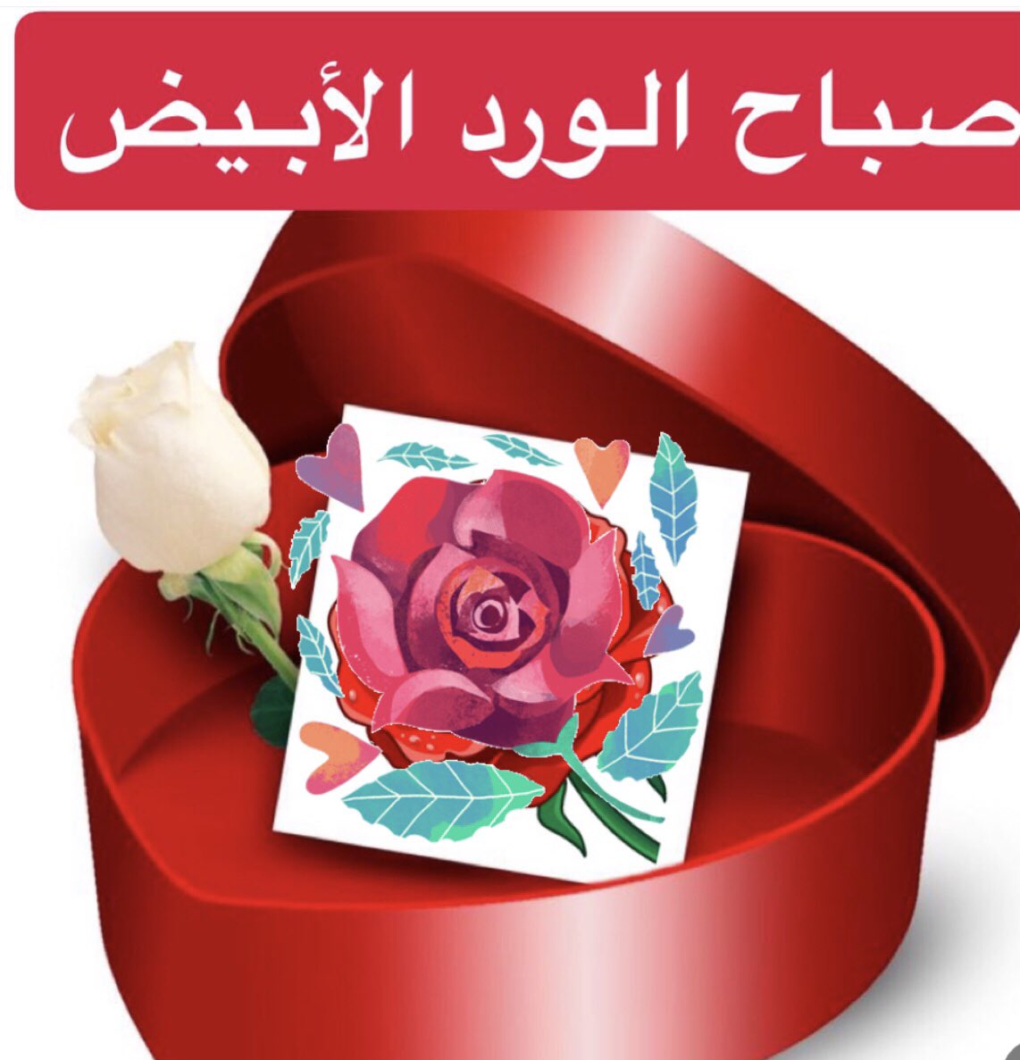 لكم مني في الصباح تحية و سلام
لكم في نفسي معزة لا يوصفها كلام
لكم كل الخير و السعادة و الإحترام
صباحكم جميل مثل قلوبكم 💕
صباحكم راقي مثل أخلاقكم
💞صباحكم سعادة وهناء