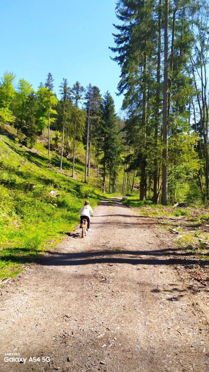 codice_nature's tweet image. Buongiorno 🌞🌈☕ e buona domenica 🌹. Oggi semplicemente una lunga passeggiata. Non sto bene e sono stanco mentalmente. Il caldo, l'aria, la temperatura rendono il momento meno pesante. Vi abbraccio forte 🫶🏻