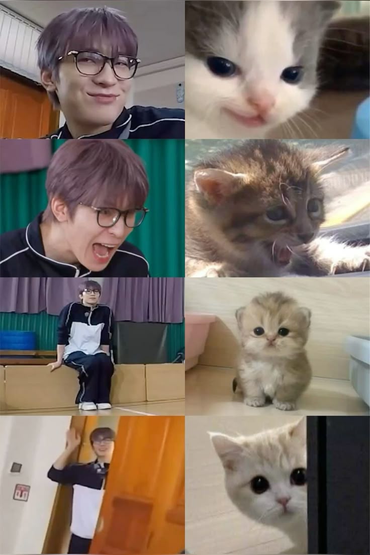 anstjsb's tweet image. 고앵이 언우