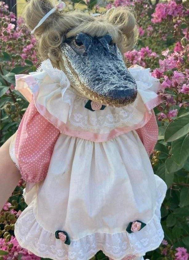 haana_mim's tweet image. معده ام جدا خیلییییی درد میکنه 
دلیلشم احتمالا خوشگلیه :)))))