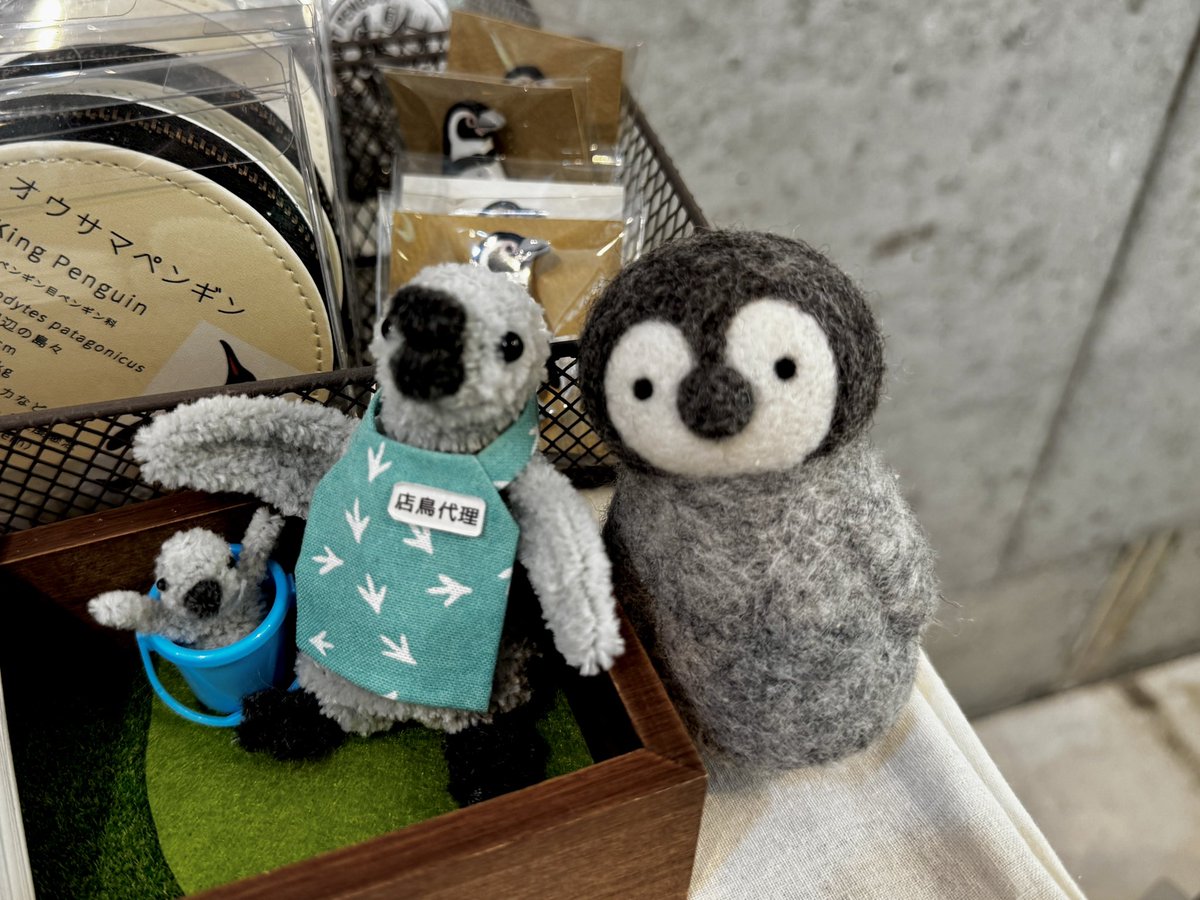 u2e6x's tweet image. 東京会場で撮れなかった店鳥代理ちゃんと記念撮影してきました📷
 #ペンぎょ展 #ペンヒナ散歩