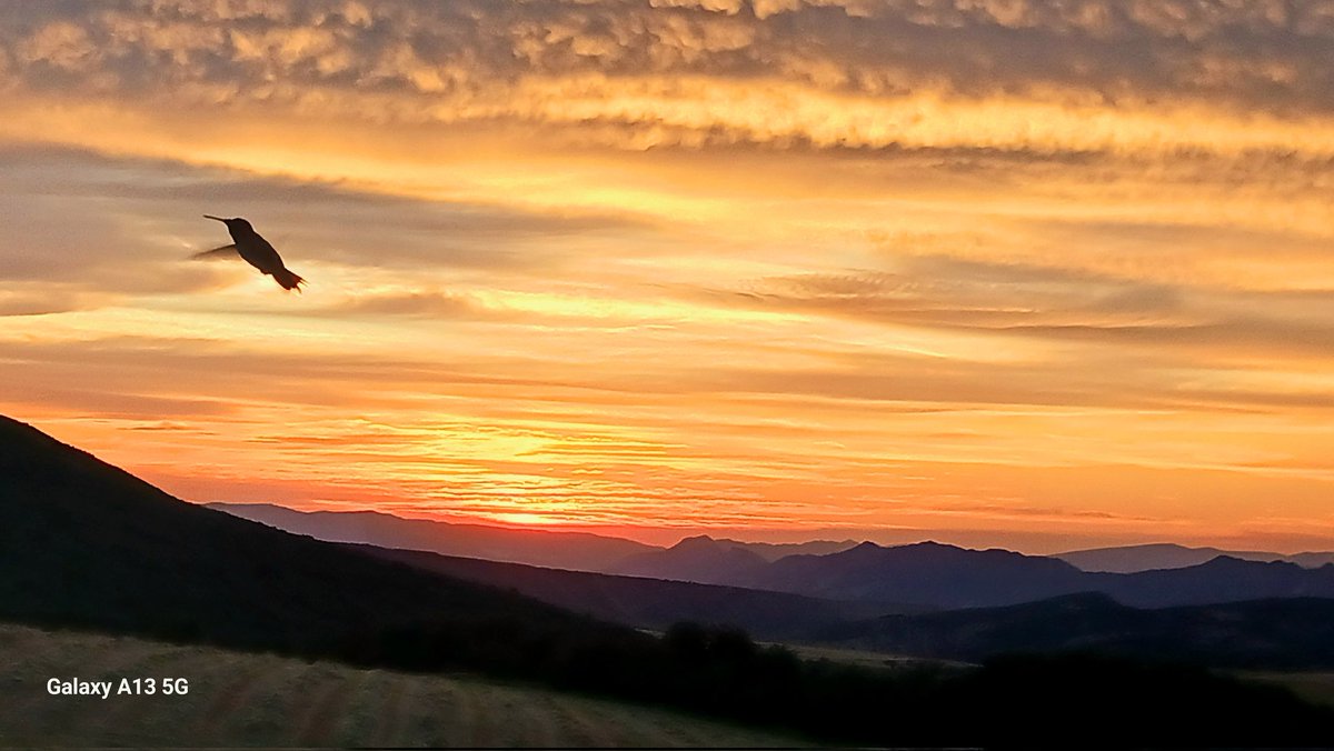 Gorgeous sunset at my daughters tonight