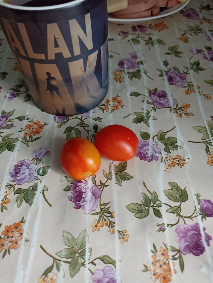 Other delicacies are beginning to ripen on the ground! 🙂 #gardening