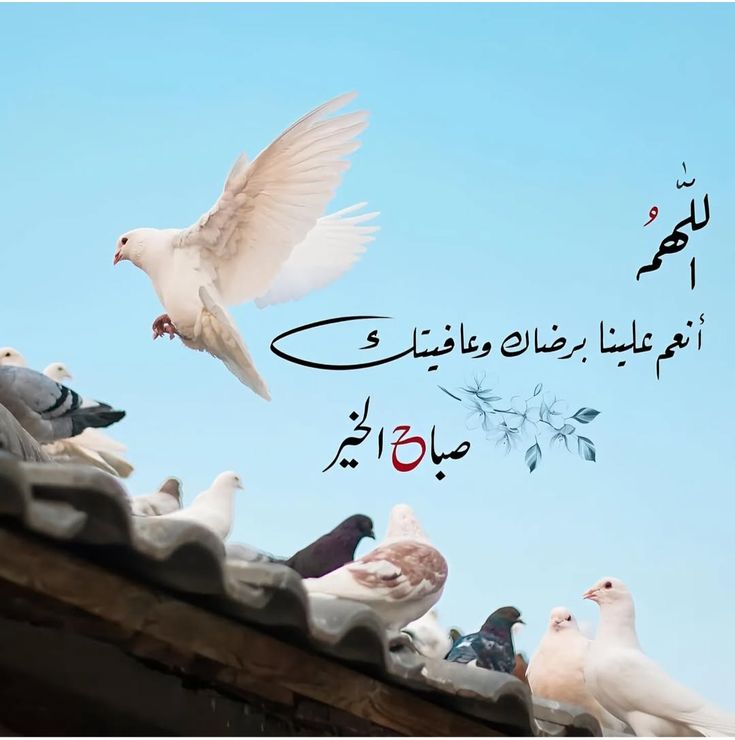 راكان الشمري tweet media