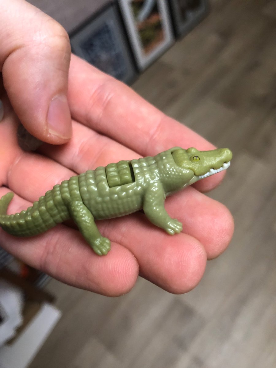 olegivlevv's tweet image. Gm fam 🐊