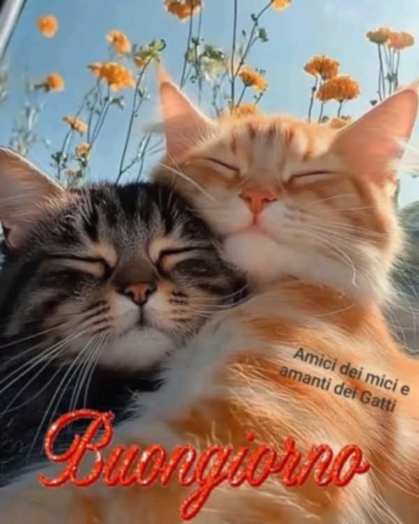 Ciaoooo 😘😘😘
